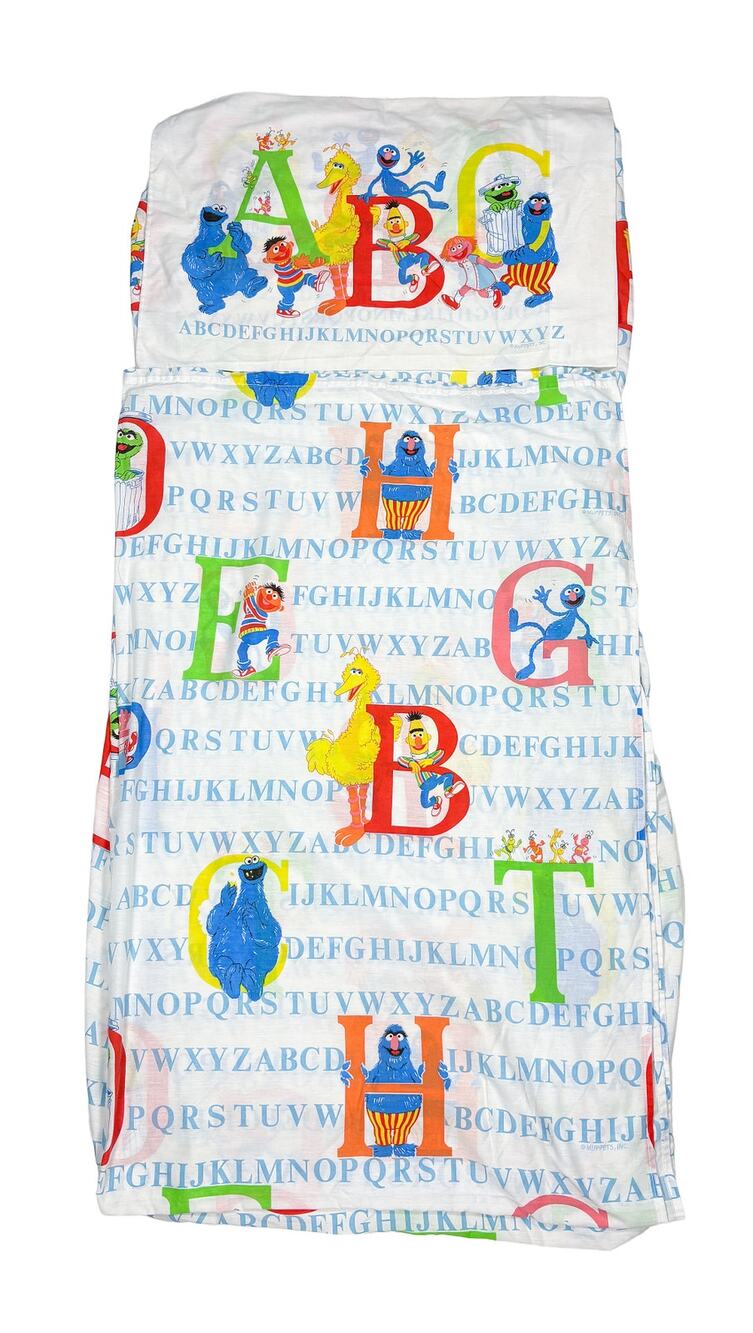 Vtg Sesame Street Twin Sheet Set Alphabet & Character Stevens Made USA